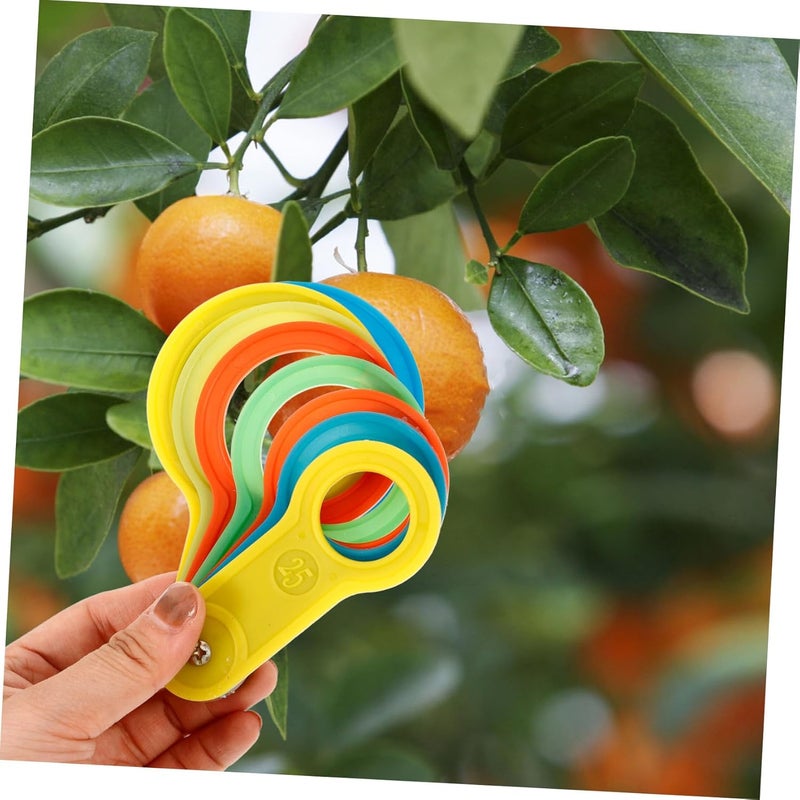 PartyKindom 2 Sets Fruit Diameter Measuring Rings Tool - Plastic Fruit Sizer for Oranges - Peaches Apples Measures 25 60mm & 60 110mm Accurate and Easy to Use Fruit Measurement Tools - Image 3